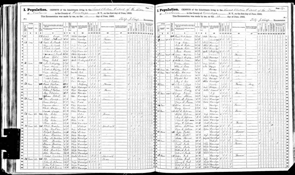 1865 new york census page 2