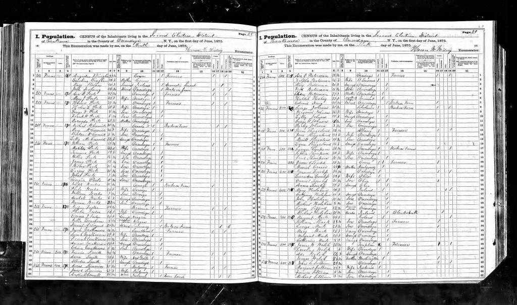 1875 US census